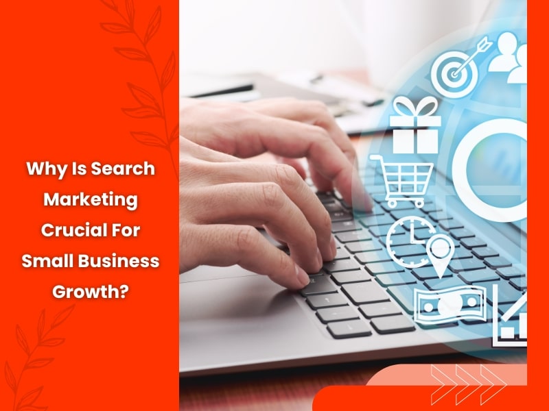 Typing on a laptop showing how small business search marketing supports growth and customer engagement.